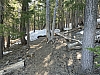 IMG_3652.jpg