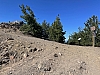 IMG_3666.jpg