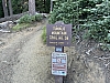IMG_3685.jpg