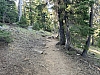 IMG_3686.jpg