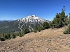 IMG_3694.jpg