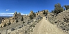 IMG_6839.jpg