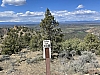 IMG_6844.jpg