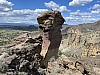 IMG_6888.jpg