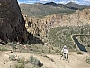 IMG_6900.jpg