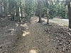 IMG_6933.jpg