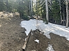 IMG_6934.jpg