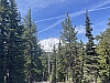 IMG_6936.jpg