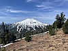 IMG_6943.jpg