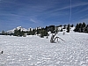 IMG_6944.jpg
