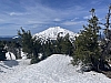 IMG_6970.jpg