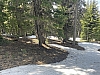 IMG_6981.jpg