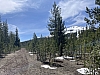 IMG_6983.jpg