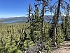 IMG_6998.jpg