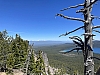 IMG_7007.jpg