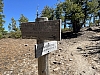 IMG_7011.jpg
