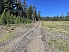 IMG_7045.jpg