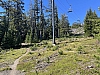 IMG_7048.jpg