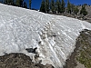 IMG_7056.jpg
