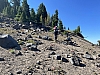 IMG_7093.jpg