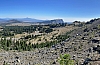 IMG_7099.jpg