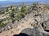 IMG_7107.jpg