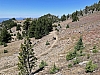IMG_7137.jpg