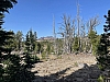 IMG_7163.jpg
