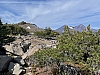 IMG_7196.jpg