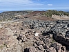 IMG_7203.jpg