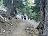 IMG_7220.jpg