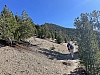 IMG_7225.jpg