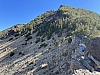 IMG_7231.jpg